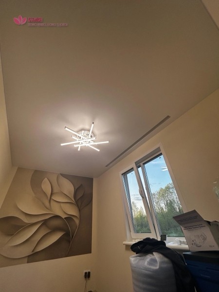 Матовый потолок