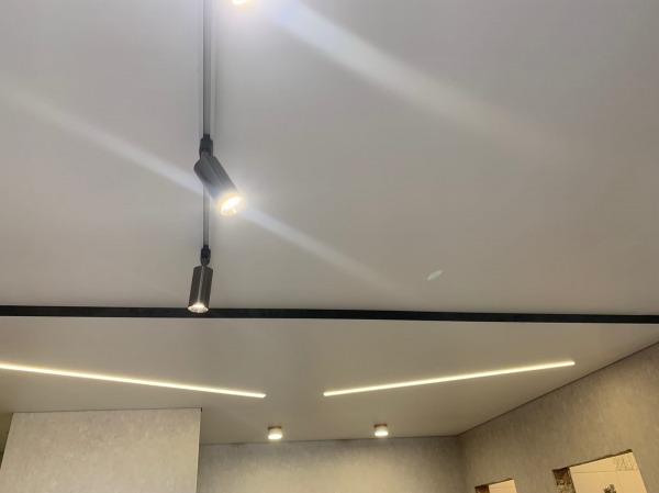 Потолок с треками