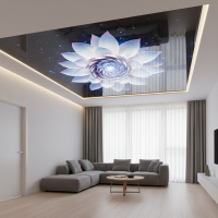 Натяжные потолки с фотопечатью